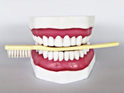 Dental Care Model IT068 1
