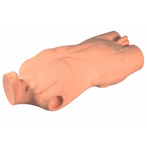 IV Torso Simulator