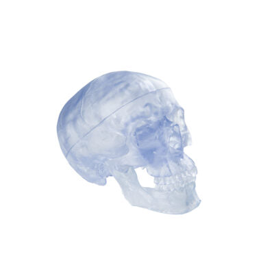 Classic- Skull Transparent A20/T 3