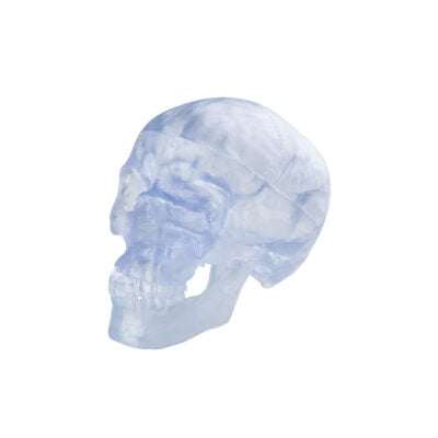 Classic- Skull Transparent A20/T 1