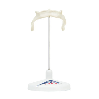 Hyoid Bone on Stand A71/9 1