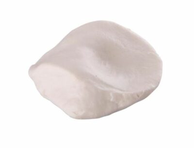 Patella A35/2 1