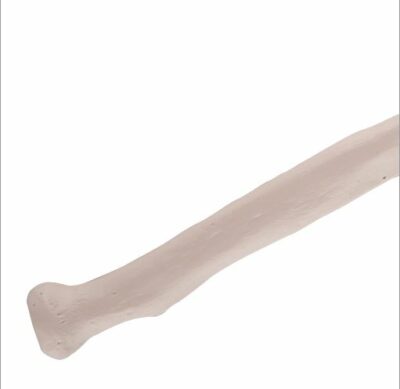 Radius A45/3 3