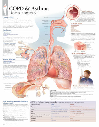 COPD & Asthma 1355 1