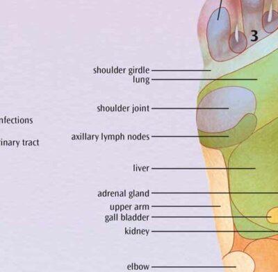 Foot Reflex Zone Massage Chart VR1810 1