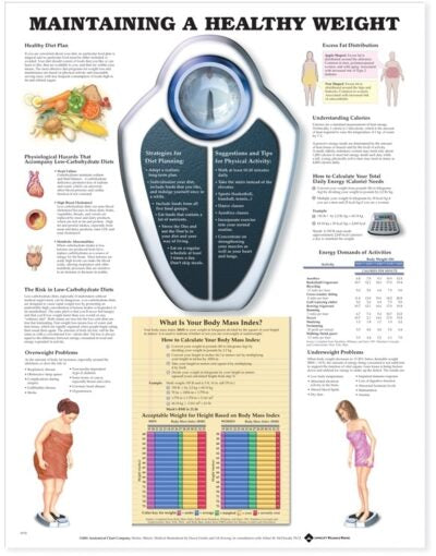 Maintaining A Healthy Weight 9779 1
