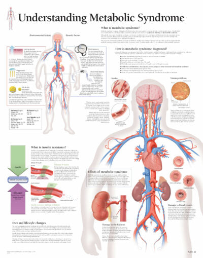 Metabolic Syndrome 1654 1