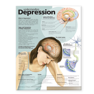 Understanding Depression Anatomical Chart 9974 1