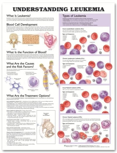 Understanding Leukemia Anatomical Chart 9761 1