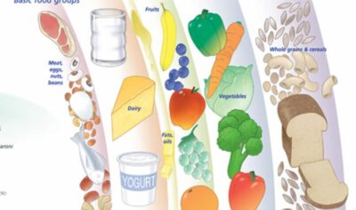 Understanding Nutrition 6050 3