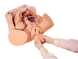 Advanced-Childbirth-Trainer-2_large-1-1.png