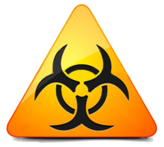 11_ef12367b-af57-4c85-8028-af6f613f0327_medium-1.png