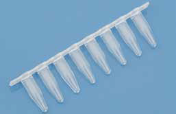 PCR Strips & Caps