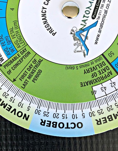 Gestational Wheel 3