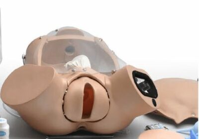 OB Susie® S500.200 Advanced Childbirth Skills Trainer 1