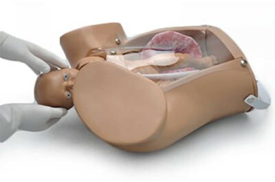 Obstetric Susie® S500 The Original Childbirth Skills Trainer 2