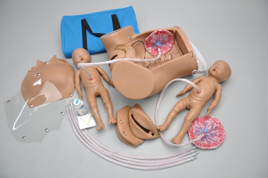 Obstetric Susie® S500 The Original Childbirth Skills Trainer