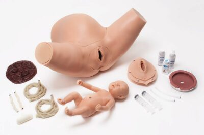 Super OB Susie® S500.300 Childbirth Skills Trainer Torso 1