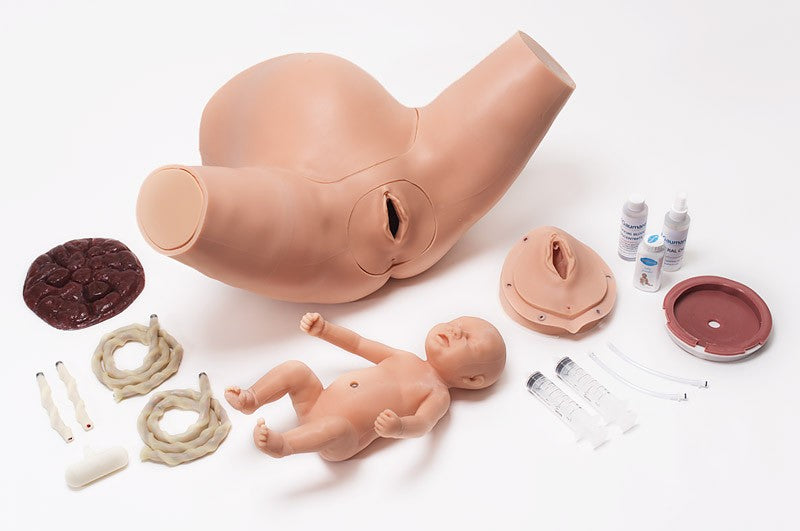 Super OB Susie® S500.300 Childbirth Skills Trainer Torso