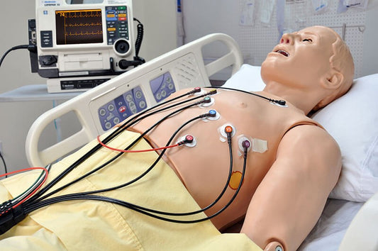 HAL® S1020 – 12-Lead ECG Skill Trainer