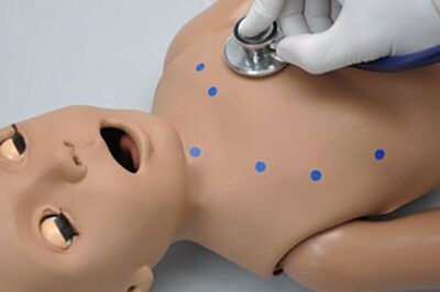 1-Year-Old Patient, Heart and Lung Sounds Skills Trainer (S312.200) 3