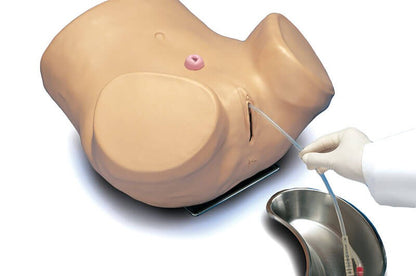 Advanced Patient Care Female Catheterization Skills Trainer S230.6