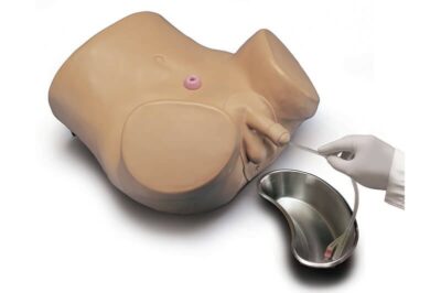 Advanced Patient Care Male and Female Catheterization Simulator (S230.10) 2