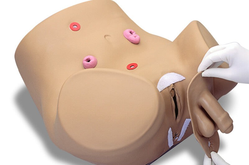 Advanced Patient Care Male and Female Catheterization Simulator (S230.10)