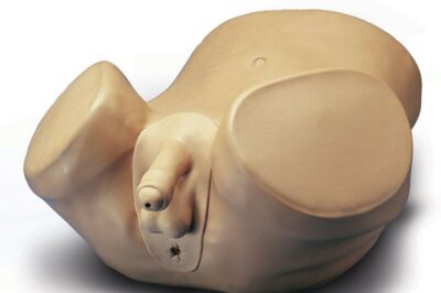 Advanced Patient Care Male Prostate Skills Trainer (S230.3) 1