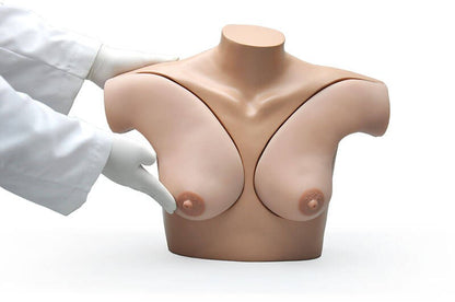 Breast Examination Skills Trainer Torso (S230.42)