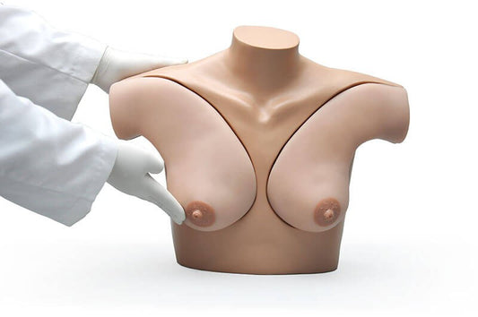 Breast Examination Skills Trainer Torso (S230.42)