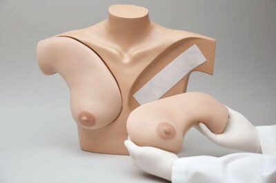 Breast Palpation Skills Trainer Torso (S230.40) 3
