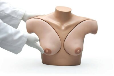 Breast Palpation Skills Trainer Torso (S230.40) 2