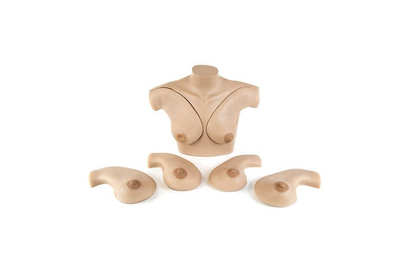 Breast Palpation Skills Trainer Torso (S230.40)