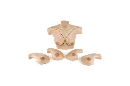 Breast Palpation Skills Trainer Torso (S230.40)