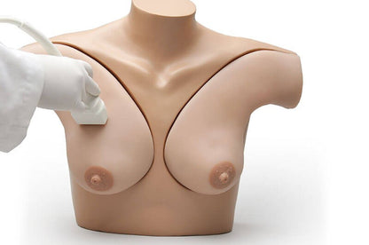 Breast Phantom Simulator S230.52 – Ultrasound Breast Examination Skills Trainer