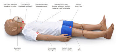 Five-Year-Old CPR Patient Simulator (S151) 6