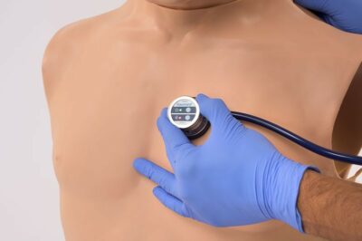 HAL S315.300 Airway, CPR, and Auscultation Skills Trainer with OMNI® 2 4