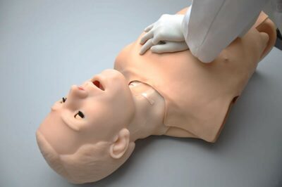 HAL S315.400 – Adult Multipurpose Airway and CPR Trainer 1