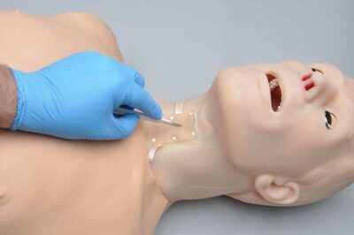 HAL S315.400 – Adult Multipurpose Airway and CPR Trainer 9