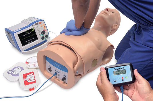 HAL S315.500 Adult CPR+D Skills Trainer Torso