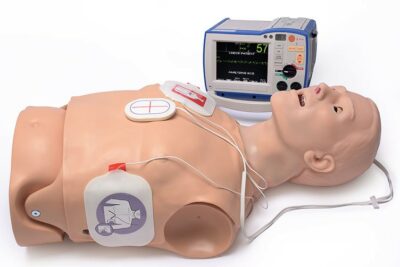 HAL S315.500 Adult CPR+D Skills Trainer Torso 6