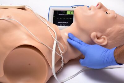 HAL S315.500 Adult CPR+D Skills Trainer Torso 5