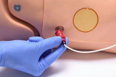 HAL S315.500 Adult CPR+D Skills Trainer Torso 4