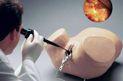 Hysteroscopy Simulator (S607) 1