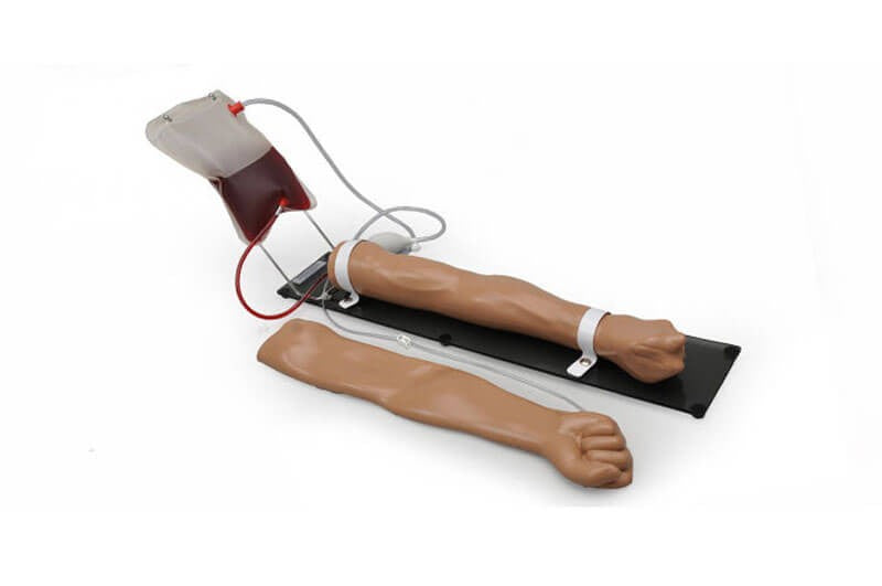 Intravenous IV Training Arm S400