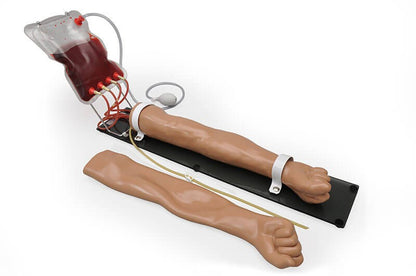 Multipurpose Venous Training Arm S401