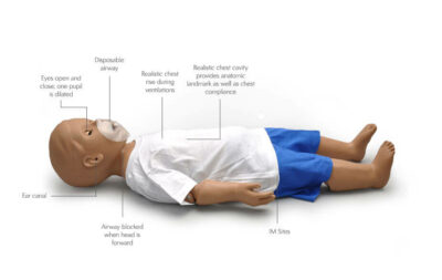 One-Year-Old CPR Patient Simulator (S111) 3
