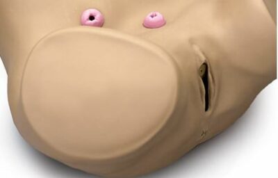 Ostomy Skills Trainer S230.2 2