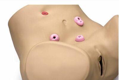 Ostomy Skills Trainer S230.2 3